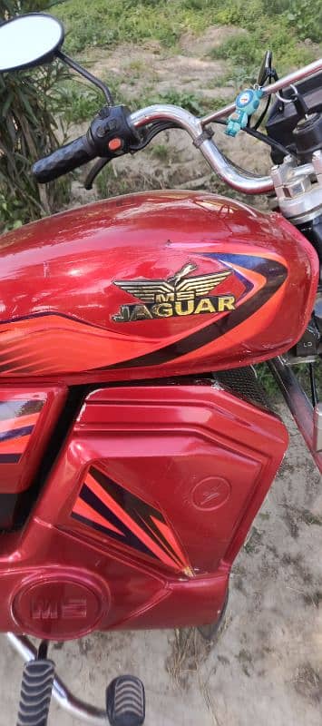 MS Jaguar E-Bike 70 Model 2023 Lithium Iron Phosphate Batery 0