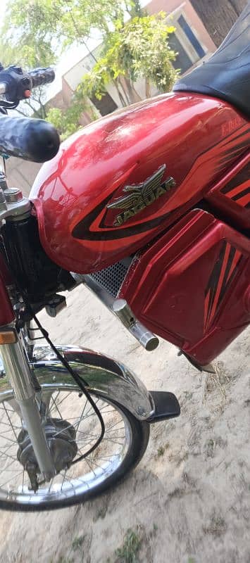 MS Jaguar E-Bike 70 Model 2023 Lithium Iron Phosphate Batery 4