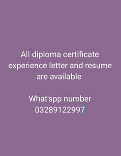 All diploma certificate experience letter and resume are available