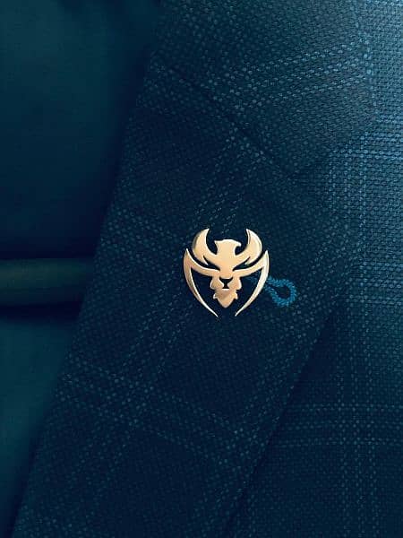Coat pins 2