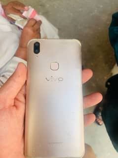 vivo