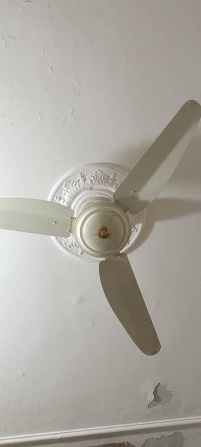 Good Condition Ceiling Fans