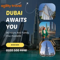 Dubai And Malaysia E visa and sticker Visa