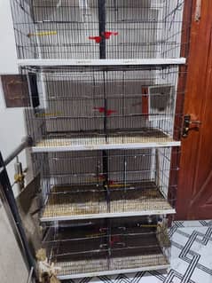 folding cage and wooden cage for sale