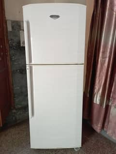 Big fridge