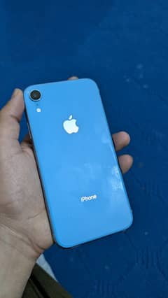 Iphone Xr Pta Approved