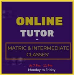 online tutor ( matric and intermediate classes)