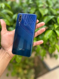 vivo