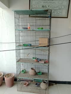 bird cage