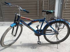 Gently Used Bicycle for Sale