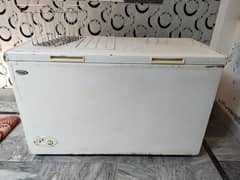 D Freezer large size 4.5f X 2.2f