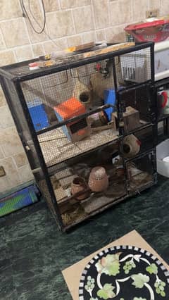 Birds Cage / Pinjra for sale