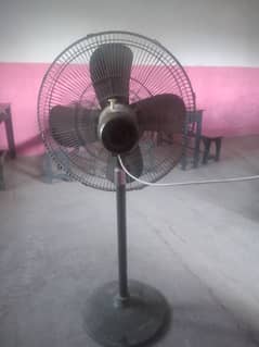 fan