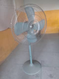 fan