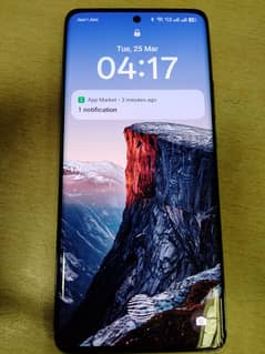 OPPO Reno 11 5g