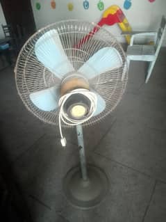 fan