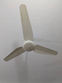 SK Fans - Ceiling fans (3 fans)