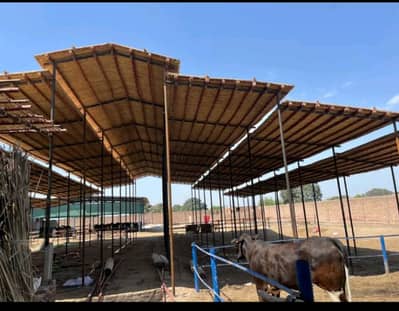 Diary Farmhouse Shed