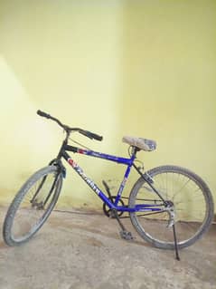 Bicycle for sale