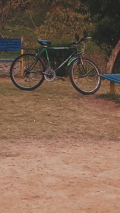 phoenix mountain bike full size gear cycle