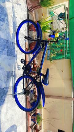 Bicycle for sale