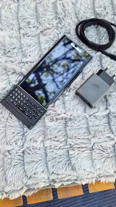 blackberry