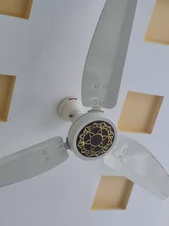 Royal Ceiling Fan Just 3 Month Used