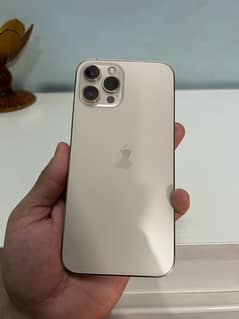 iphone 12 pro max 256 gb