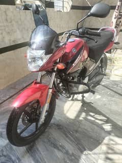 yamaha ybr 125