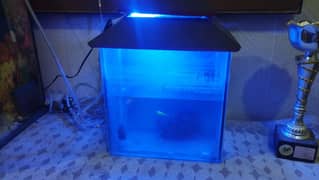 Aquarium Medium size 10*8 inches with cover