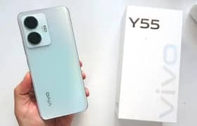 vivo y55