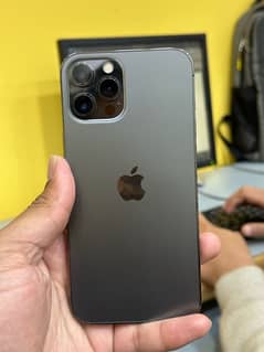 iphone 12 pro max pta approved