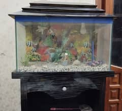 Fish Aquarium for sale