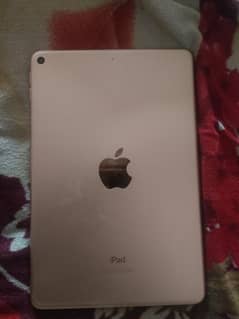 ipad mini 5