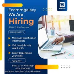 Data Entry Operator