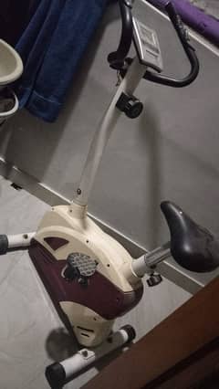 gym cycle