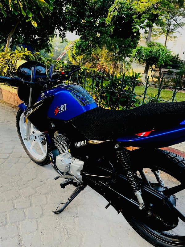 modified ybr for sale 3