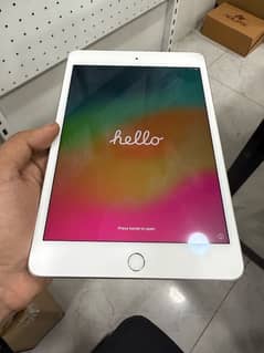 iPad mini 5 256gb