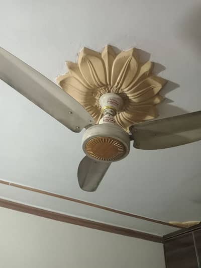 Total 4 Neat Fans