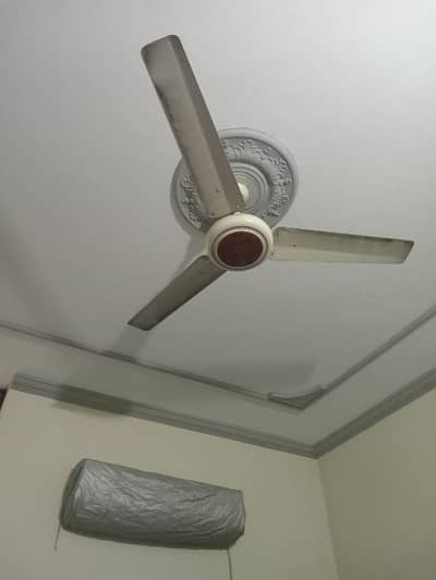 Total 4 Neat Fans