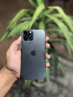 iphone 12 pro max factory