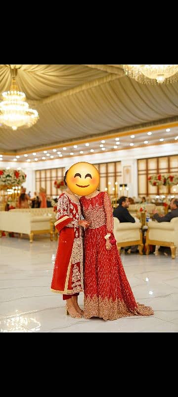 Dress / ladies suit / fancy dress / wedding wear / formal dress 2