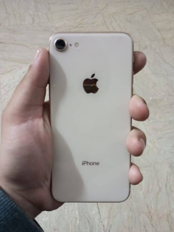Iphone 8 0