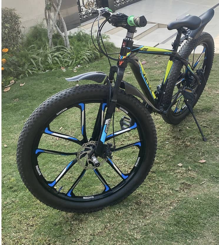 Viper cycle 1