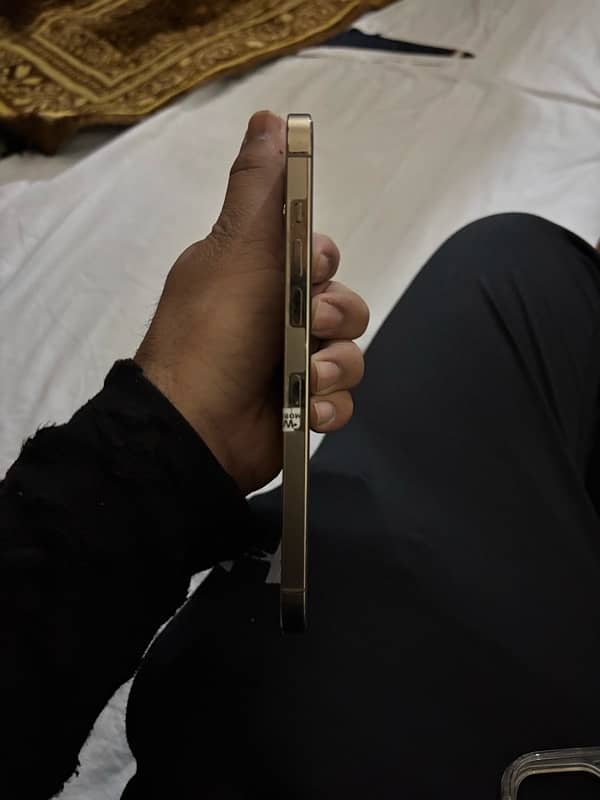 Iphone 12 Pro Max FU 1
