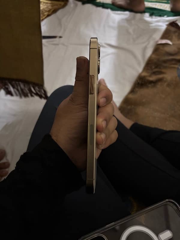 Iphone 12 Pro Max FU 5