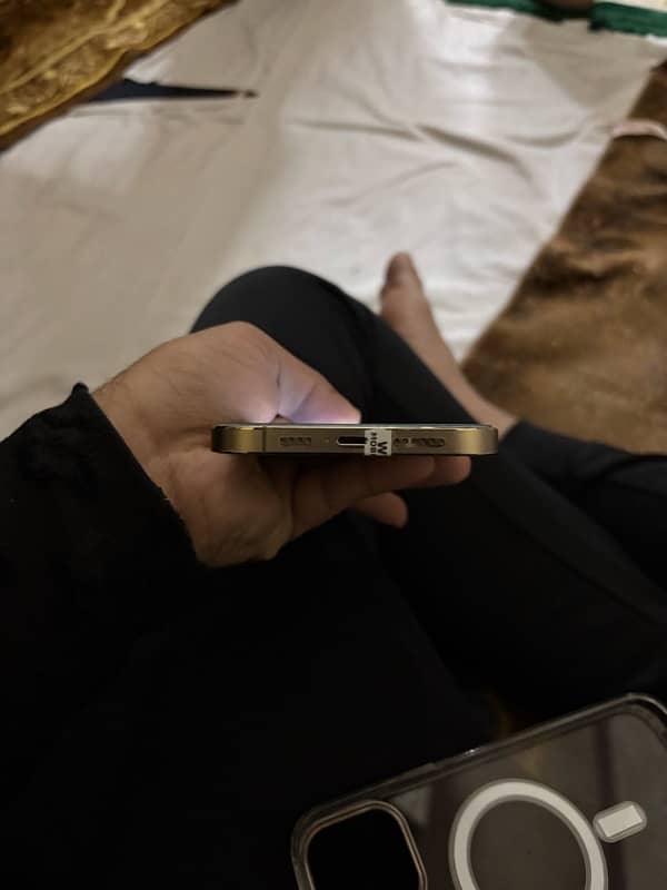 Iphone 12 Pro Max FU 8