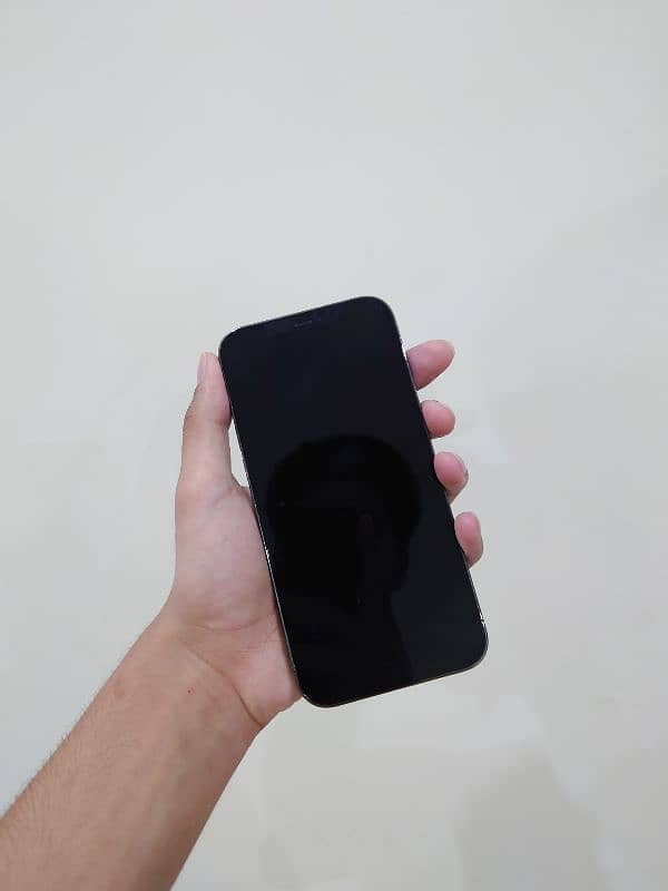 Iphone 12 pro max 1