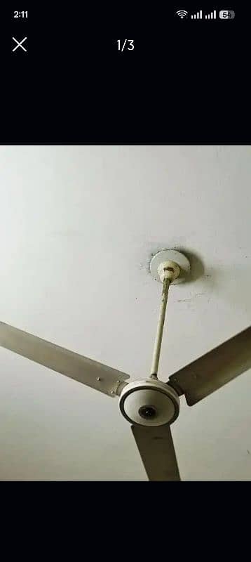 ceiling fan 1