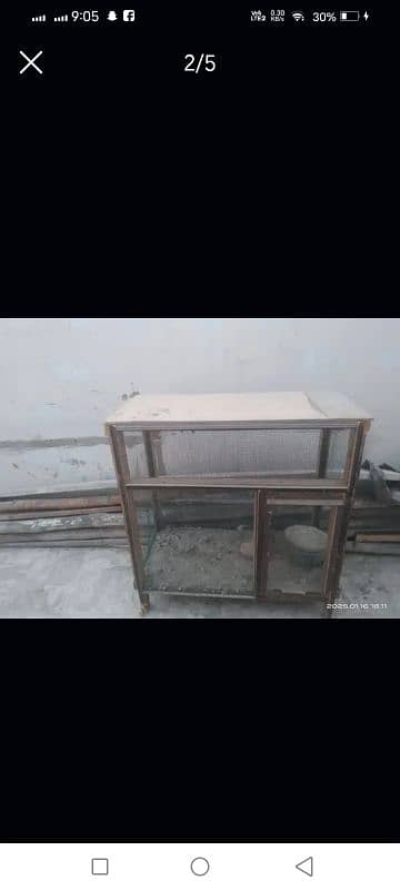 murgeyon ka Ghar 3
